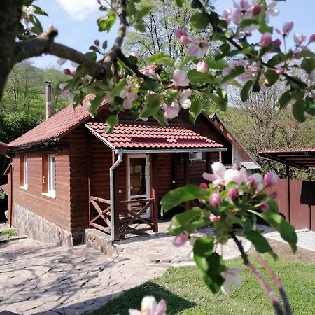 Зачаровані Карпати, Воловець المظهر الخارجي الصورة