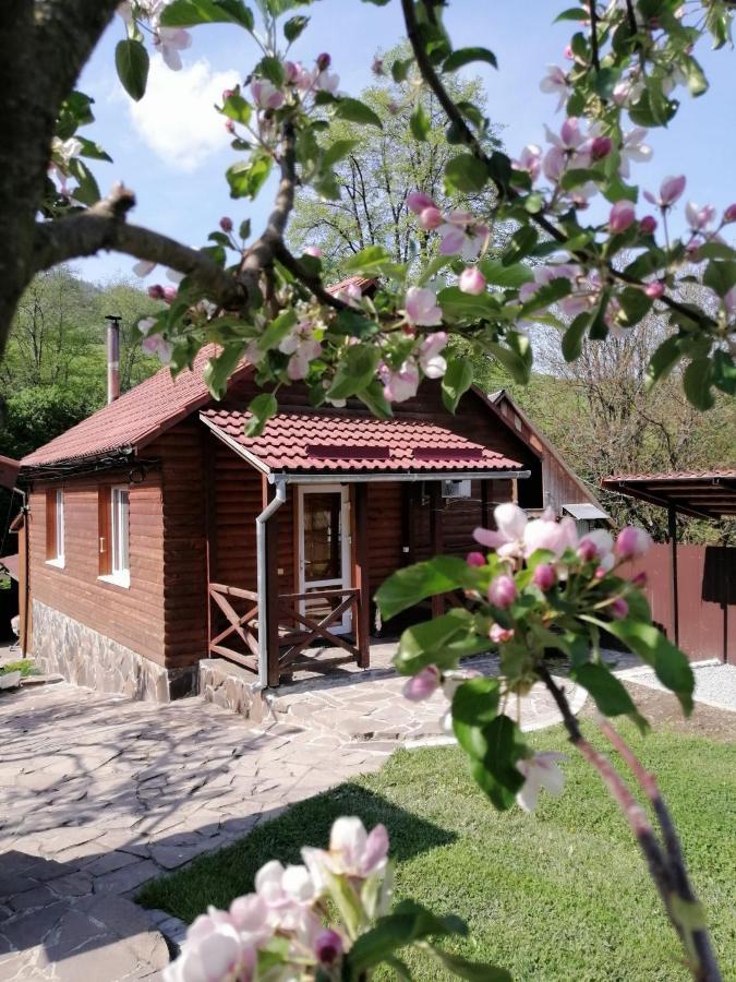Зачаровані Карпати, Воловець المظهر الخارجي الصورة